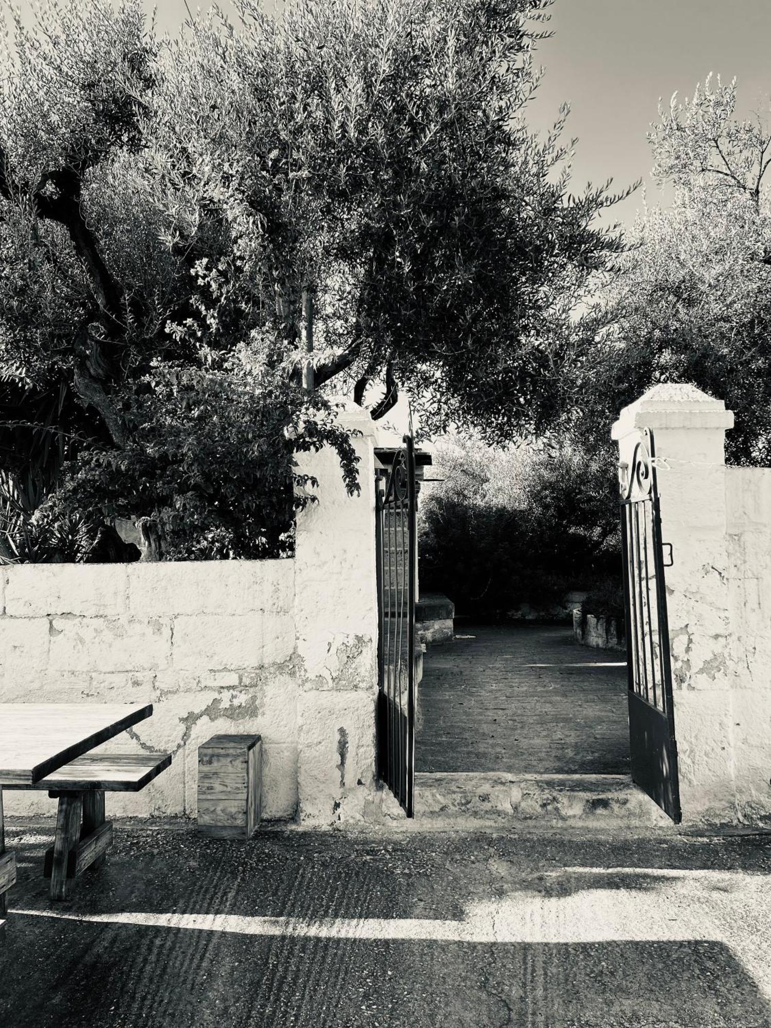 מונופולי Sorelle Barnaba Country House מראה חיצוני תמונה